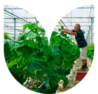Hellio_Formes_Agriculteurs