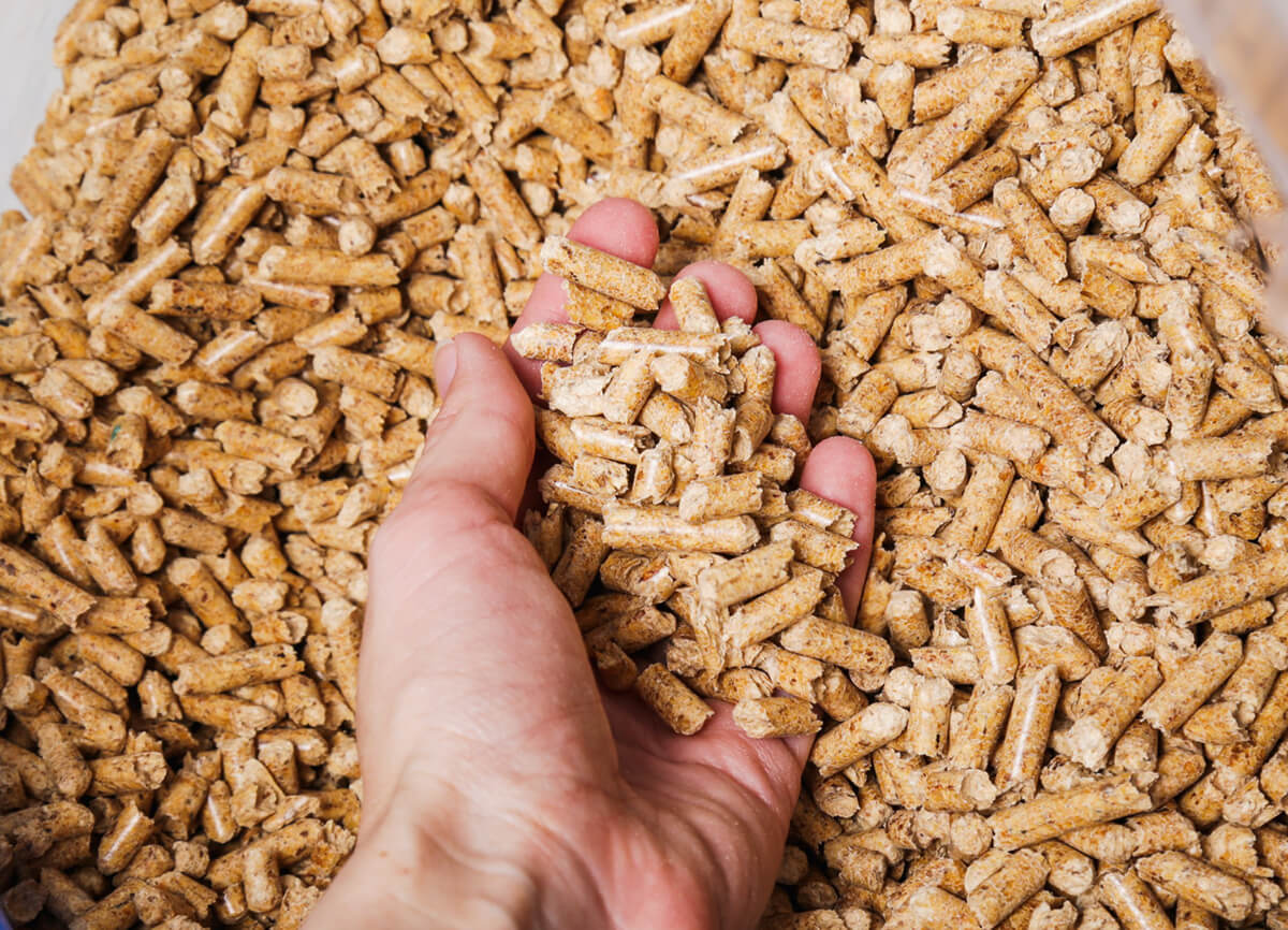 main-granules-bois