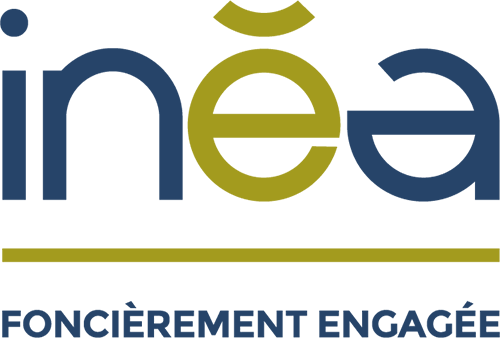 LOGO-inea_signature_RVB (1)