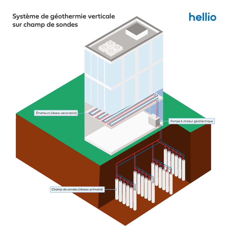 Schéma géothermie verticale champ de sondes bâtiment tertiaire