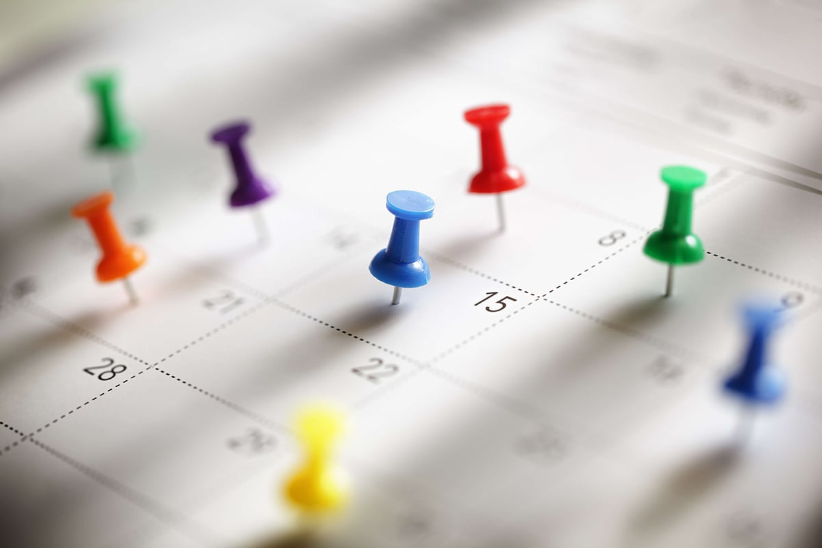 calendrier-punaises-planning