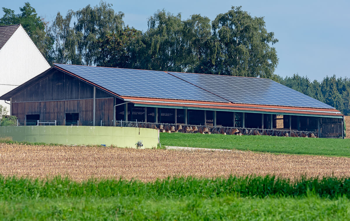 bâtiment agricole photovoltaïque