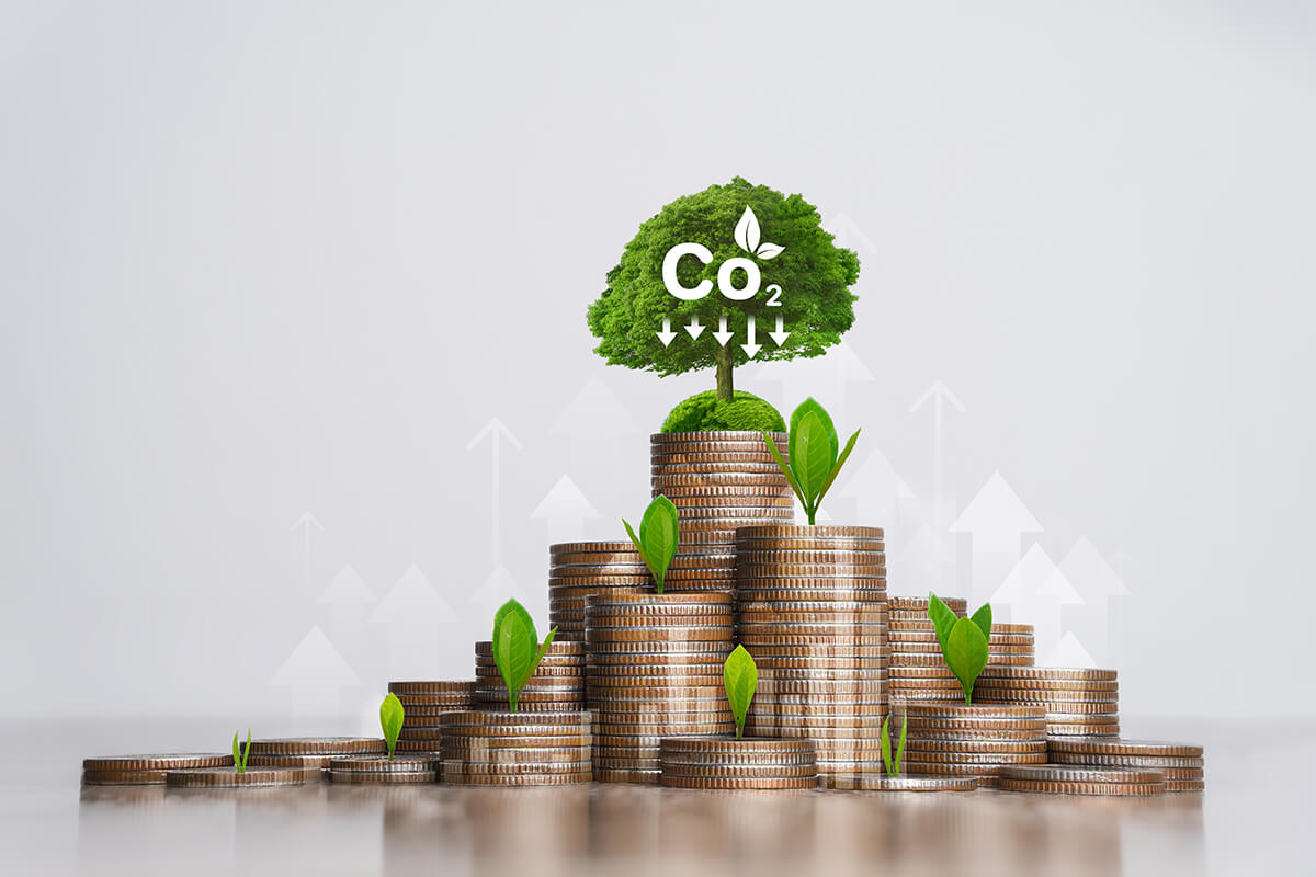 Décarbonation : les aides à la transition écologique disponibles en 2025