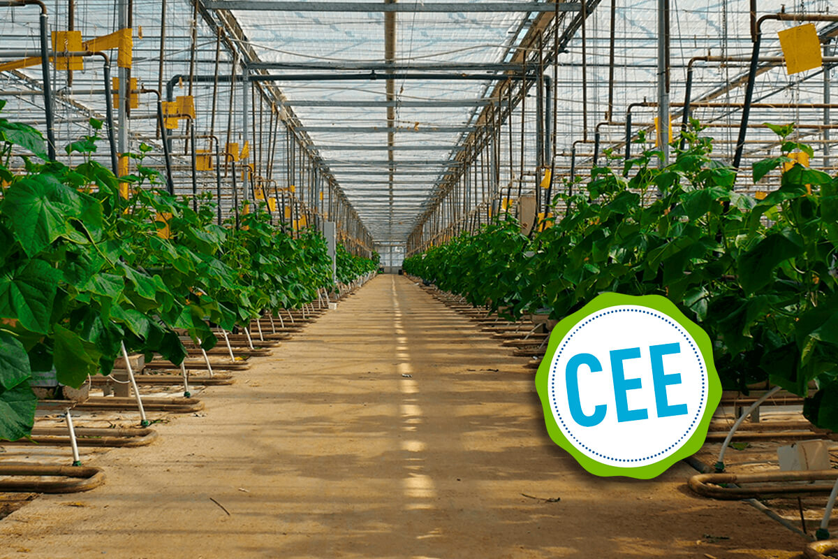 CEE agriculture Certificats d'économies d'énergie