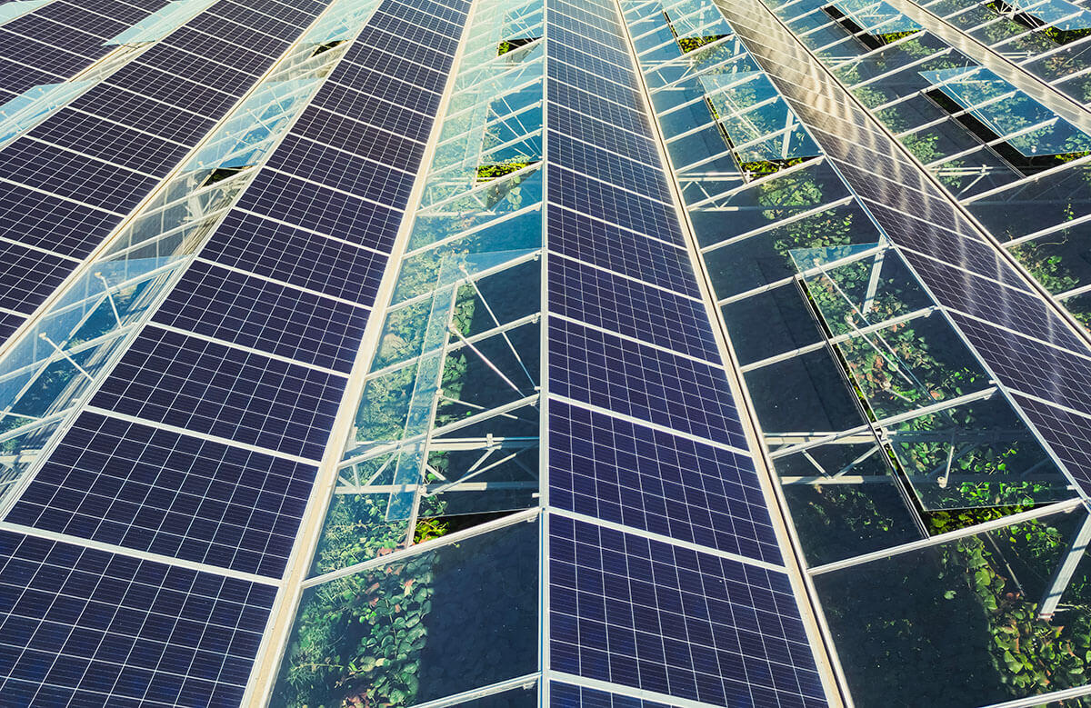 Serre photovoltaïque : fonctionnement, prix, avantages