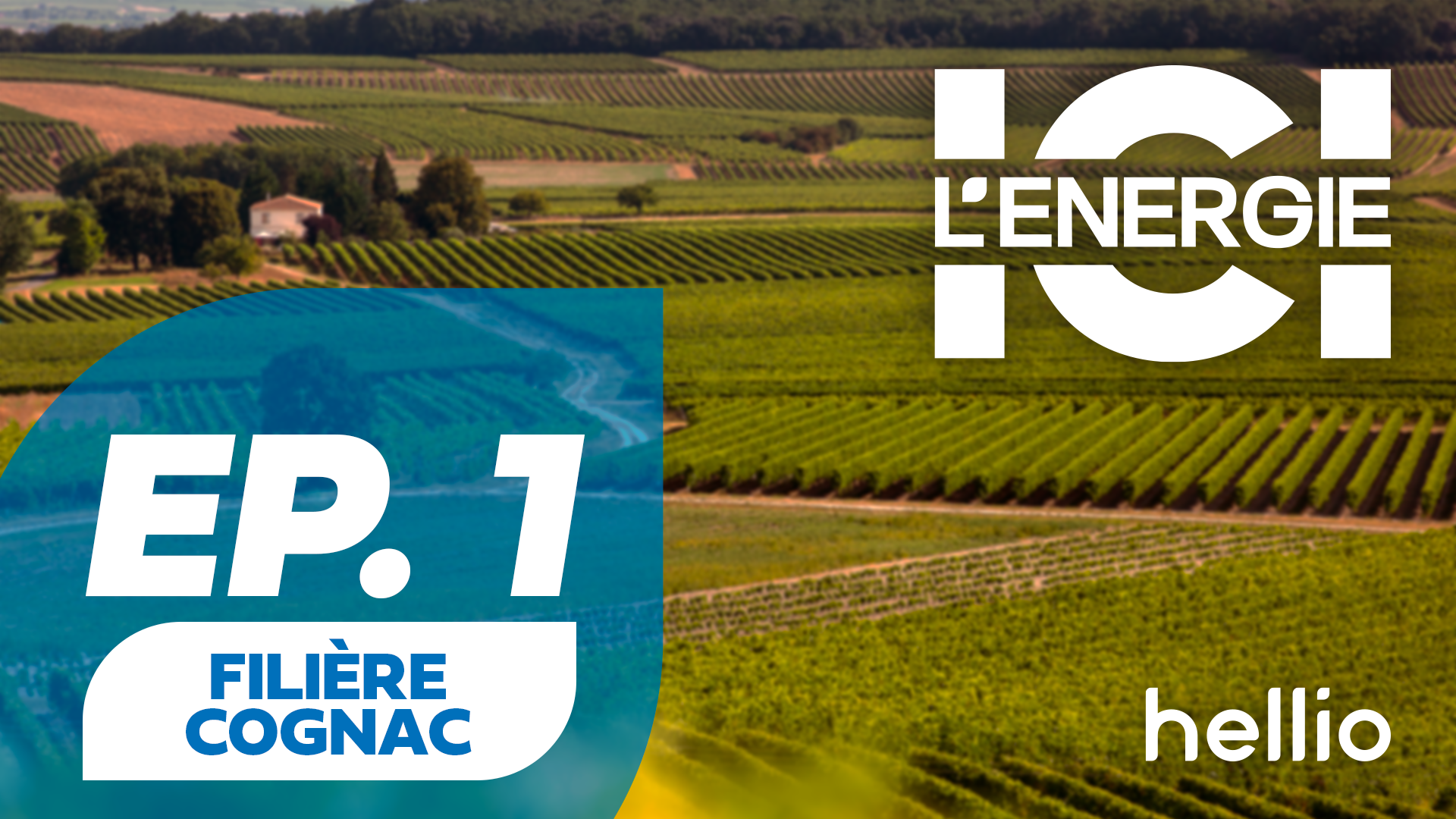 Ici l’énergie : la filière Cognac poursuit ses engagements ...