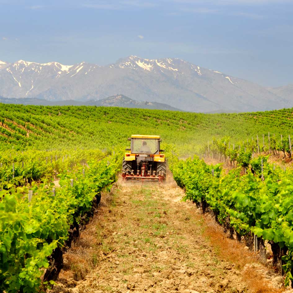 Programme CEE E-Trans : accélérer l’électrification des ...