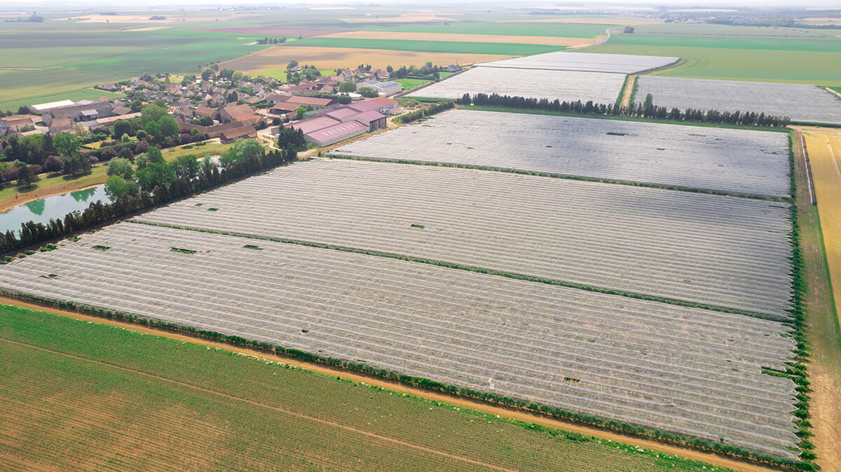 Agriculture : 20 % d’économies d’énergie pour les Vergers de Sennevières