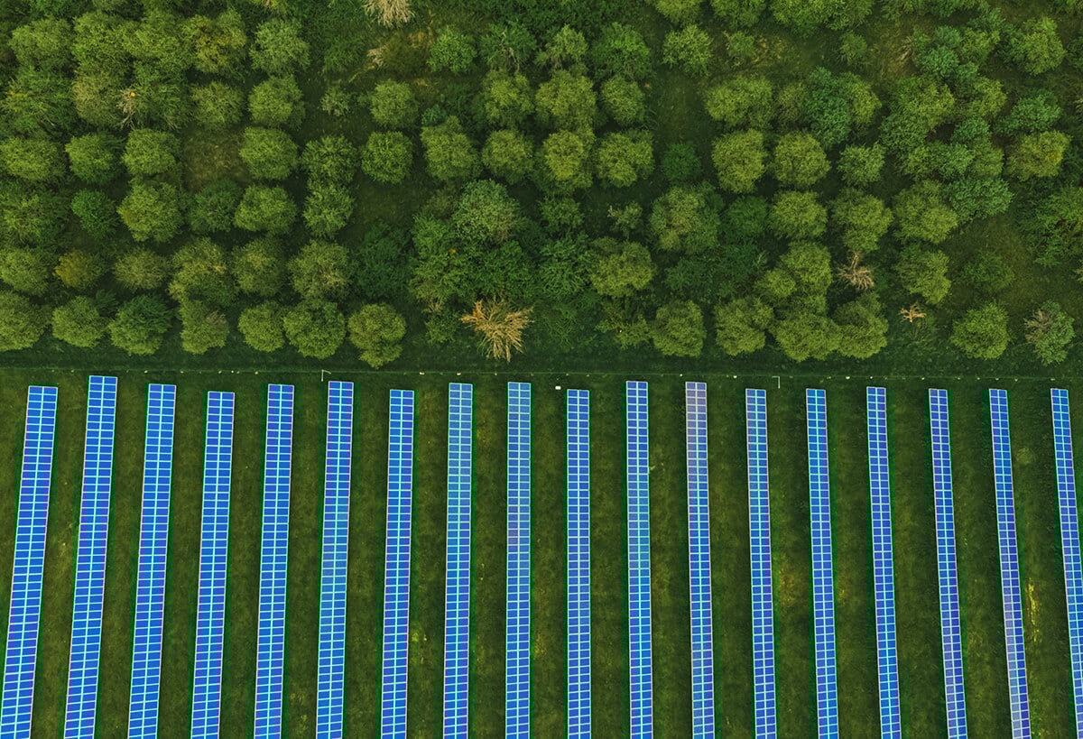 COP 30 transition énergétique 